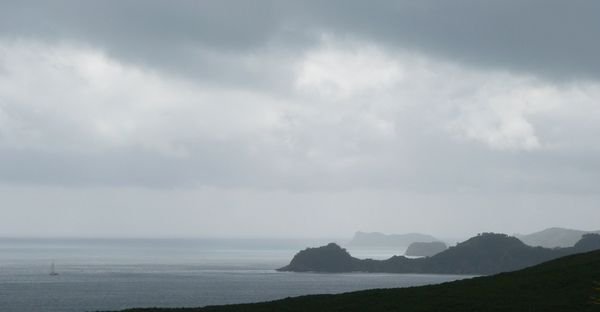 The Bay of Islands Coastline
