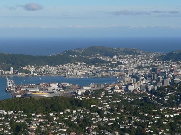 Wellington City from Kaukau Lookout
