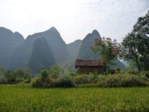 Farm and Limestone Karsts, Yangshou