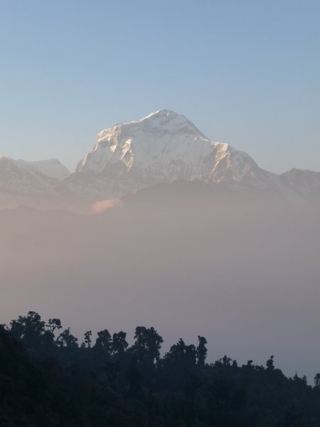 Dhaulgiri - the big bad boy of the Annapurnas