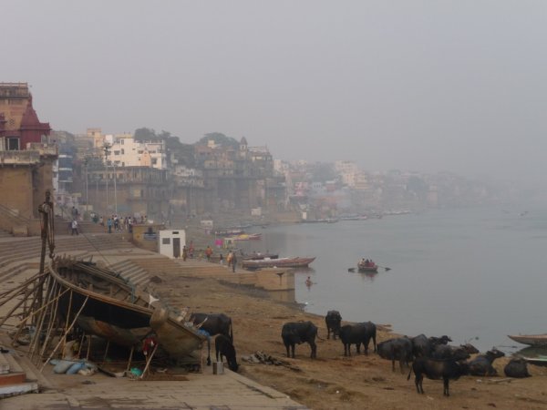 Boat Building, Varanasi