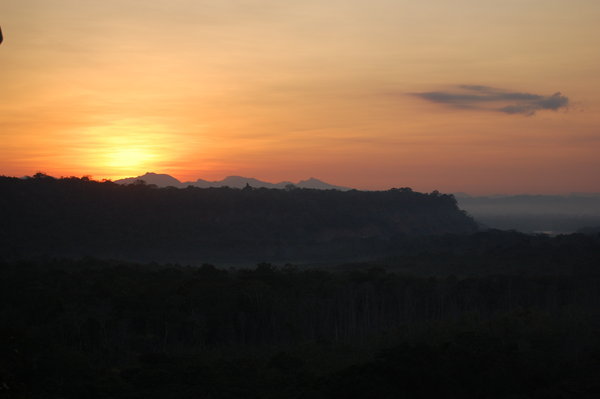 Sunrise in Madidi