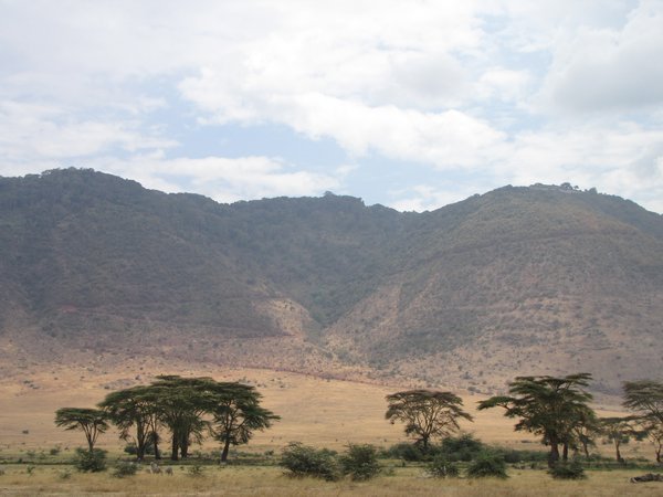 The Ngorogoro crater 