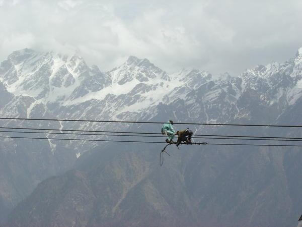 Men  working in the Himalayas