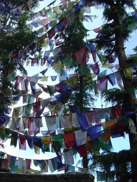 Tibetian prayer flags