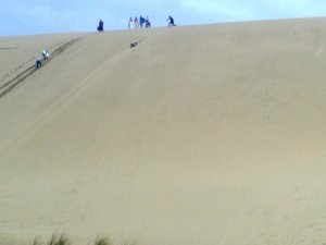 Dune Surfing!