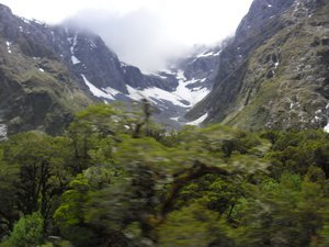 En route to milford sound (1)