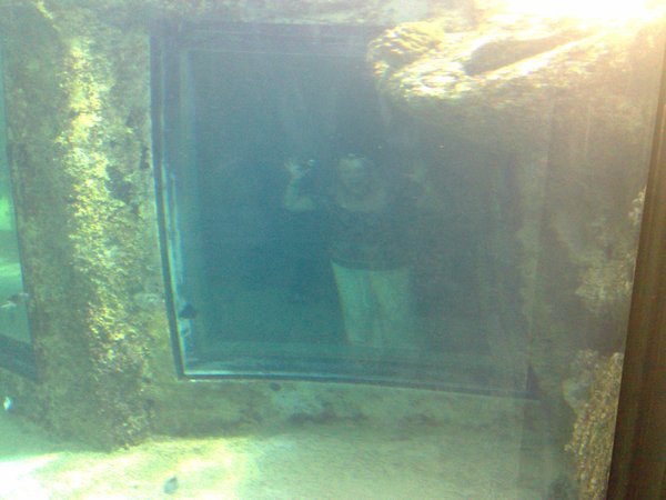 The Aquarium (15)