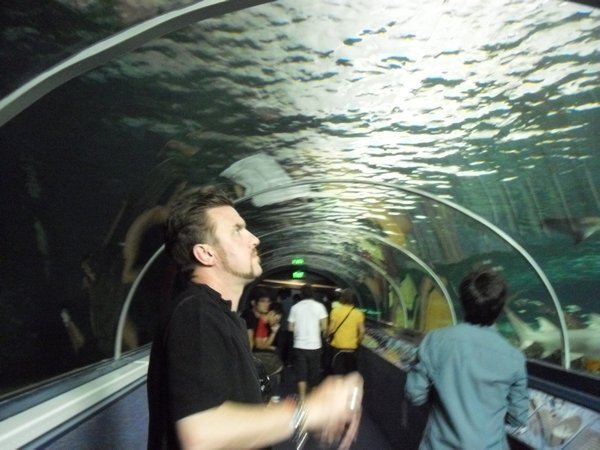 The Aquarium (35)