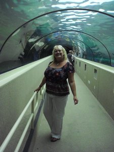 The Aquarium (23)
