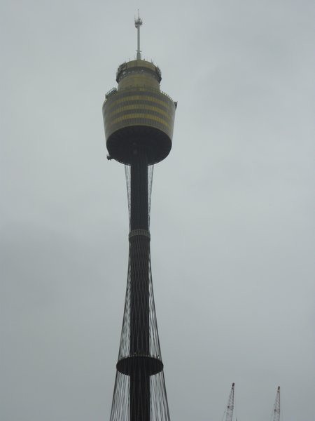 The Skytower