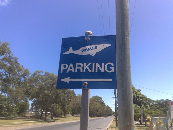 First no dumping Dolphins, now parking for whales interesting