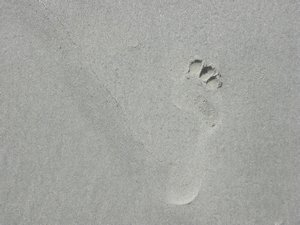Solo footprints