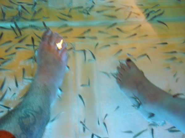 Fishy feet pt 2 (2)
