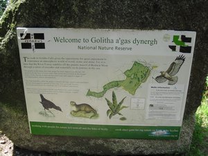Golitha Falls (31)