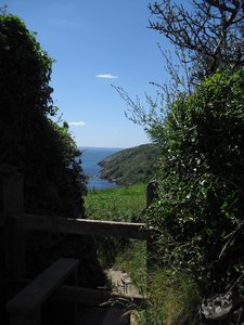 Walk along the coastal path to Polperro