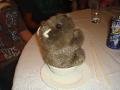 Wombat in Bowl