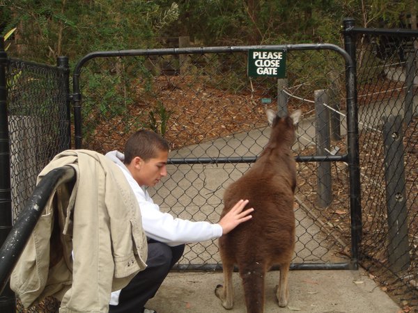 Me grabbing Kangaroo's Ass