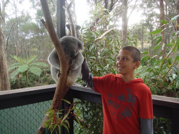 Pete with Koala