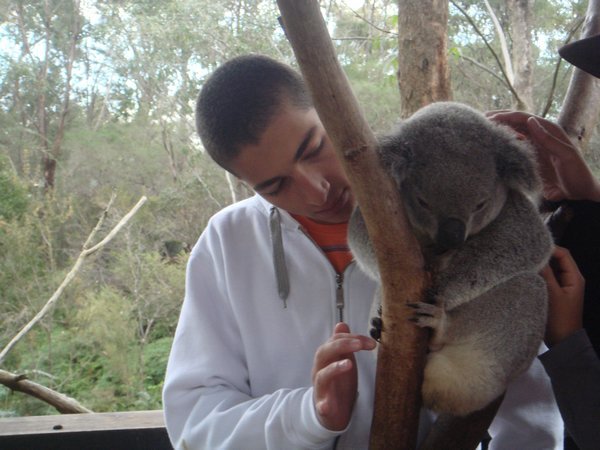 Me with Koala
