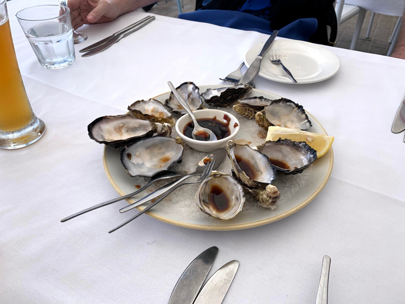 Tasmanian oysters (unbelievably good)!