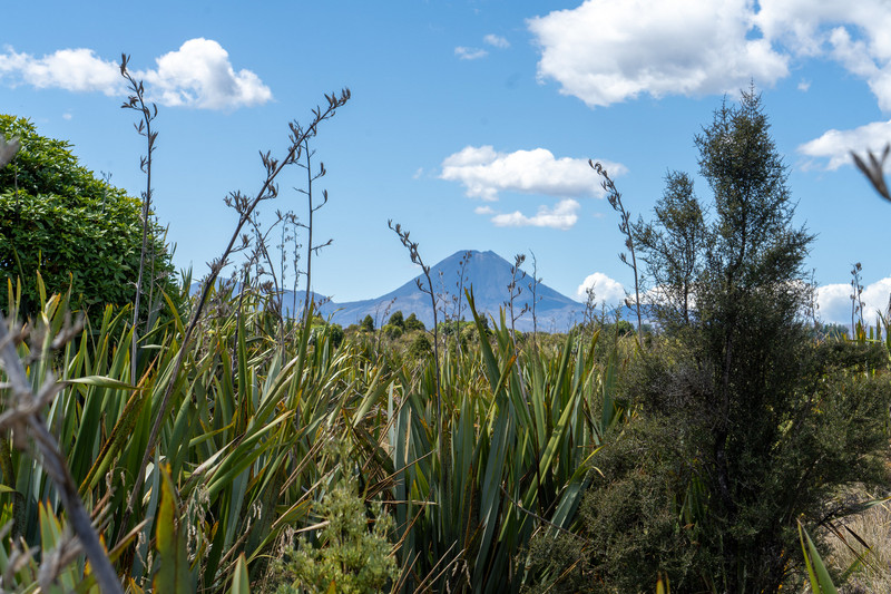 Mt. Ngauruhoe (Mt. Doom)