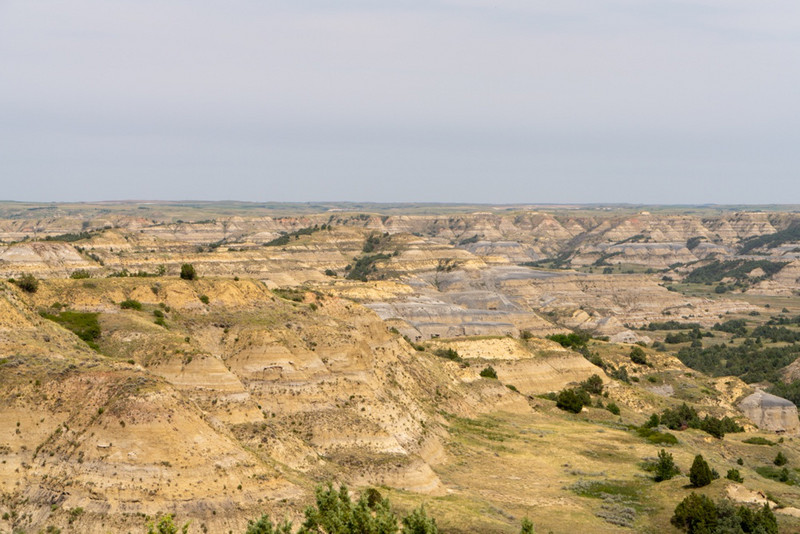 2023 Lewis and Clark trip 430 Theodore Roosevelt National Park North Unit ND 071723