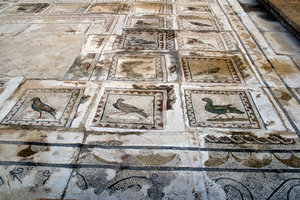 Mosaic floor in Italica