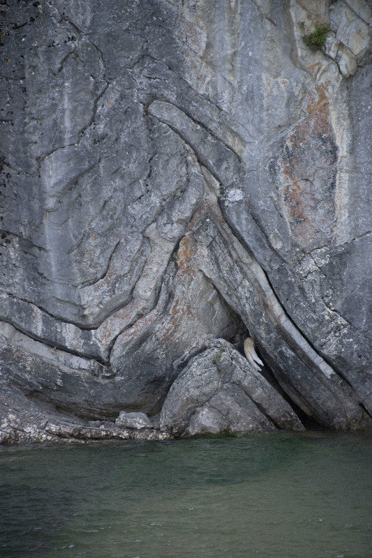 Syncline-anticline illustrating foldign of sedimentary rock