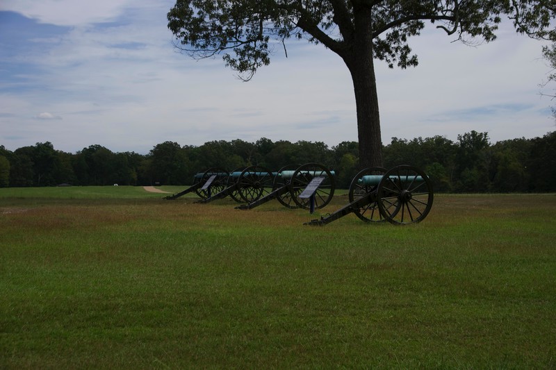 Cannon at Shiloh