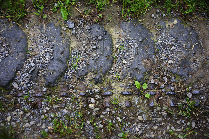 Tank tread embedded in ground along Kall Trail