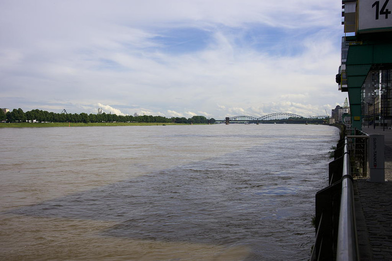 Flooded Rhine