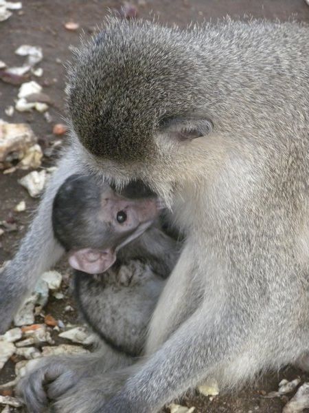 Mama with baby