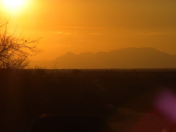 Sunset in Kruger