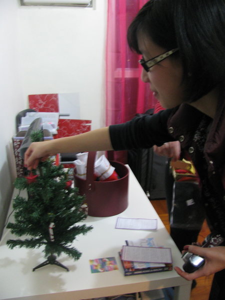 decorating the Christmas Tree
