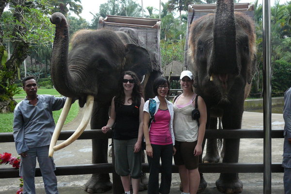 post elephant ride