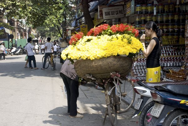 Street Flowers Hanoi