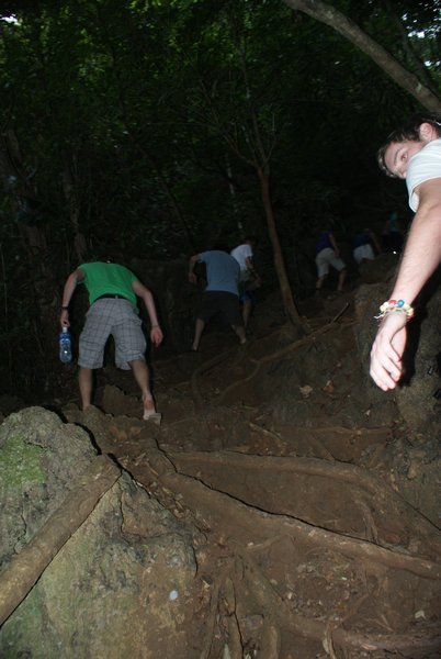 Trecking through the thick jungle