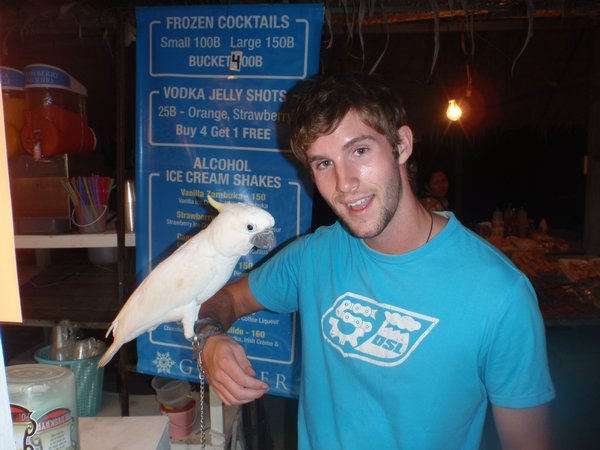 Danny the friendly cockatoo at the half moon party