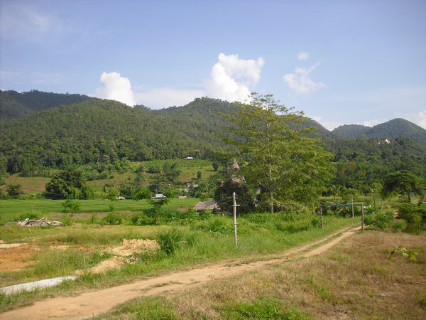 The view on the outskirts of Pai