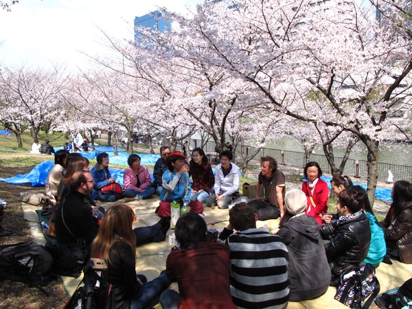 Our Hanami Party in Osaka Castle grounds