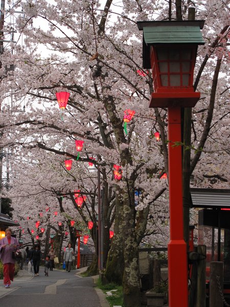 Cherry Blossoms, Paper Lanterns, Hot Springs, Waterfalls; what more do you need in life?