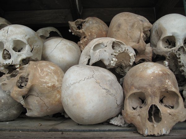 8000 skulls