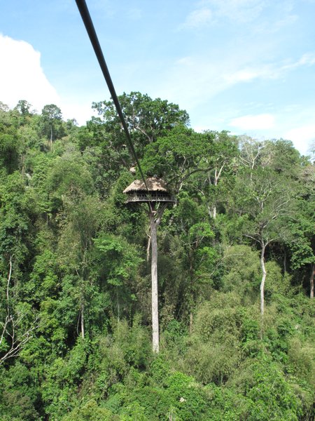 Zipping into Treehouse #5