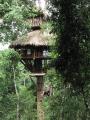 Dana Zipping from our home: Treehouse #7