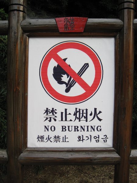  NO BURNING