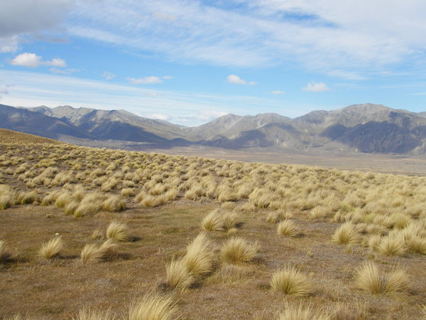 dry landscape