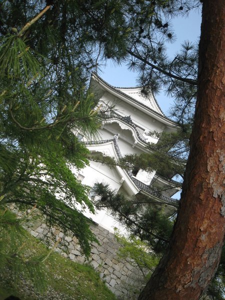 Ueno Castle