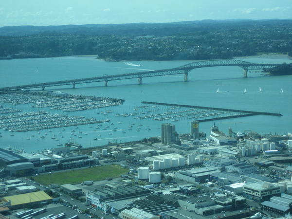 Auckland harbour bridge