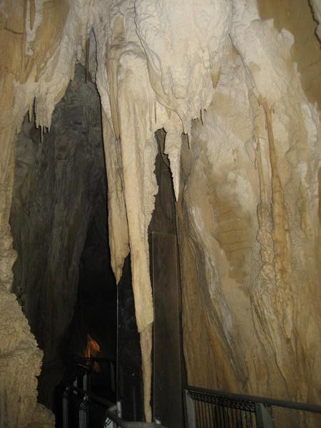 In the Ruakuri Cave